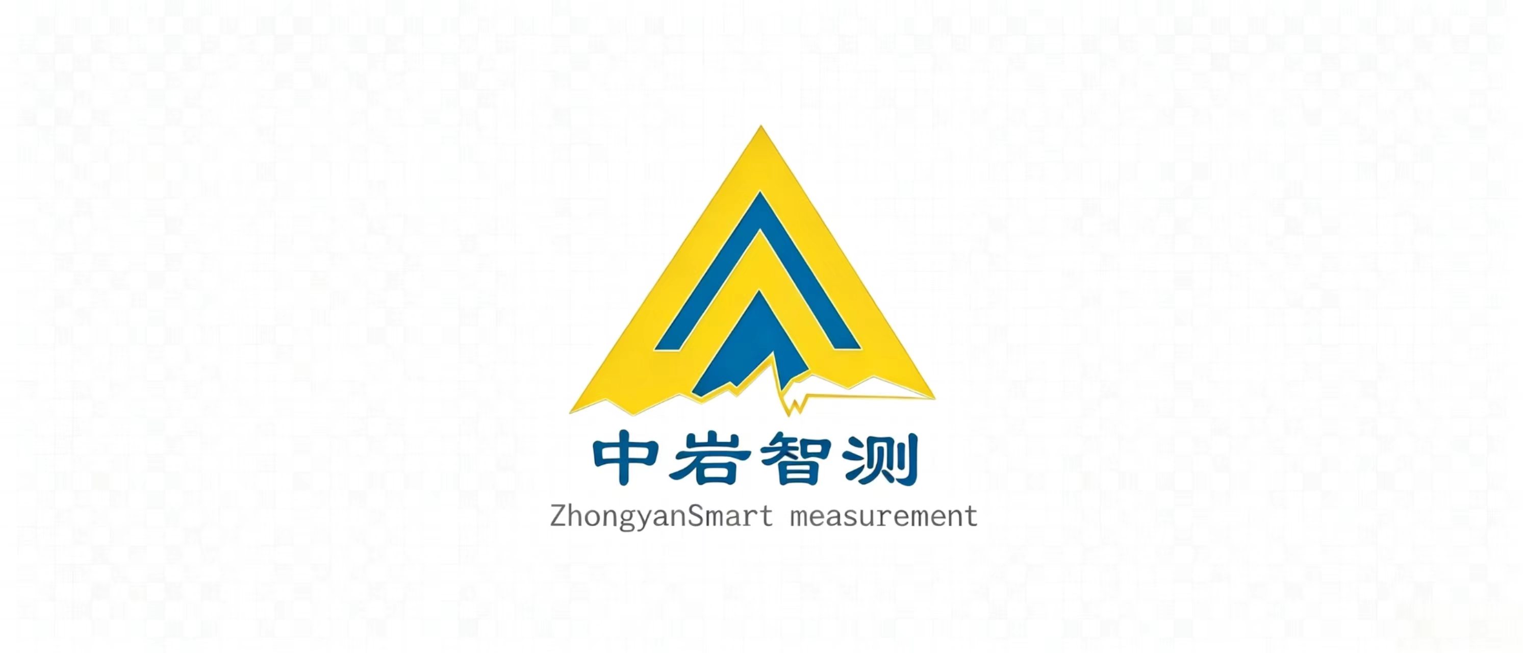 中岩智测（重庆）科技有限公司